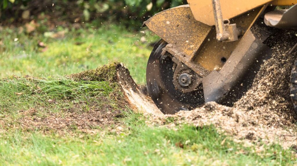 Stump Grinder