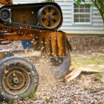 Efficient Tree Grinding: What You Need to Know