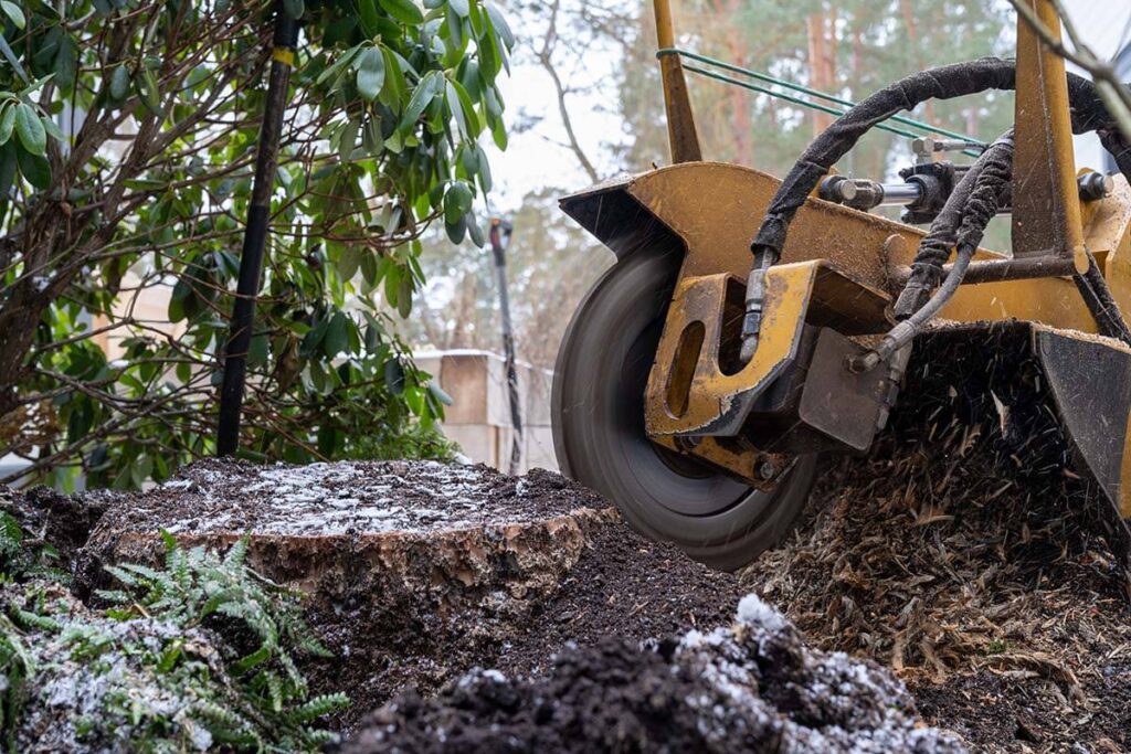 Tree Grinding