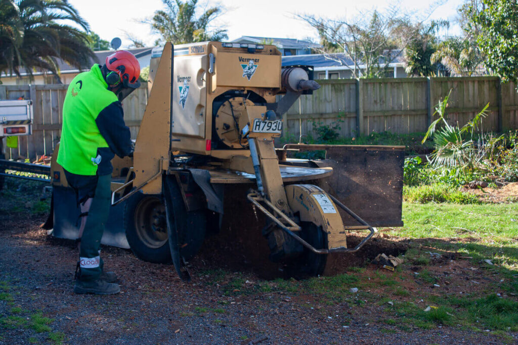 Tree Grinding