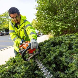 Hedge Trimming