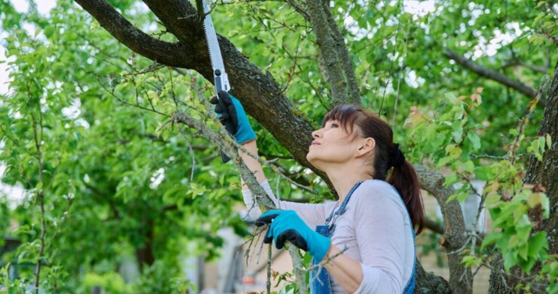 tree pruning near me