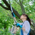 Why Local Experience Matters When Booking Tree Pruning Near Me