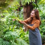 5 Signs Tree Trimming Has Been Done Too Aggressively